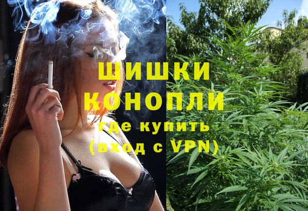 трава Алзамай