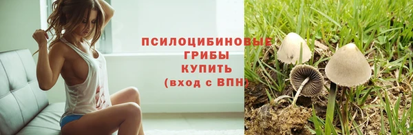 трава Алзамай