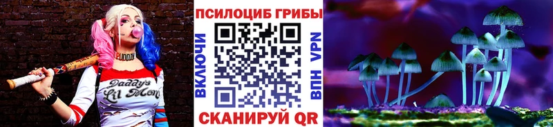 Псилоцибиновые грибы MAGIC MUSHROOMS  купить наркоту  darknet официальный сайт  Солигалич 
